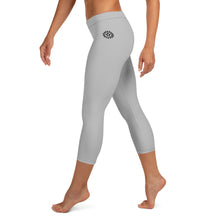Load image into Gallery viewer, Silver Leggings